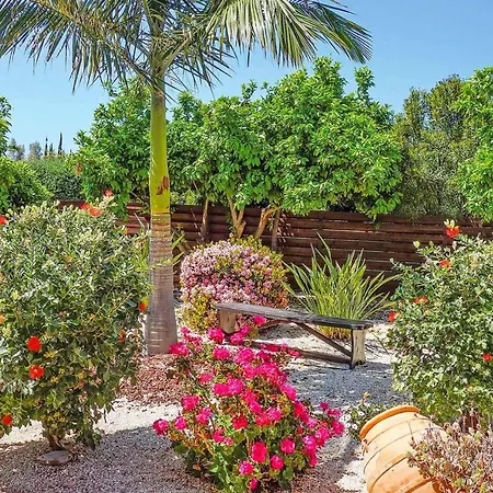 Villa Andreas Polis
